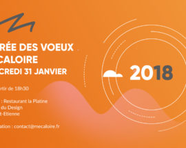 Voeux MECALOIRE 2018